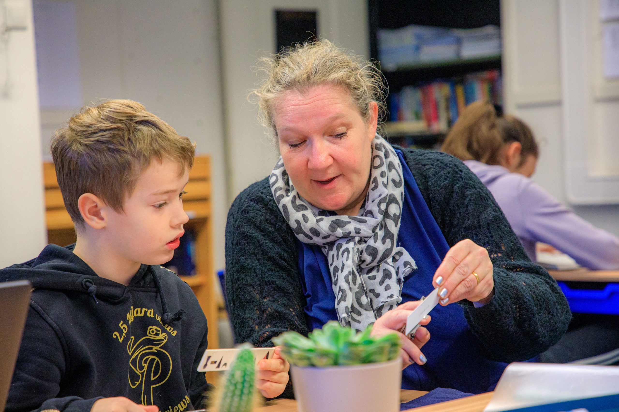 Groep-Plataan-Sandra