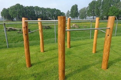 _r_o_robinia_duikelrek_zeskantig_1_2_537